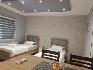 Čavić apartmani - Vršac - 3
