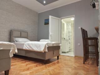 Čavić apartmani - Vršac - 4