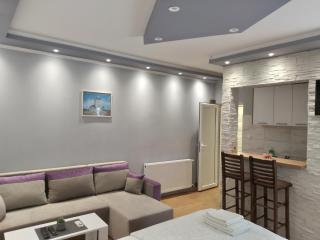 Čavić apartmani - Vršac - 6