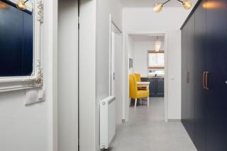 Elite Studio - Netflix free - Brasov - 6