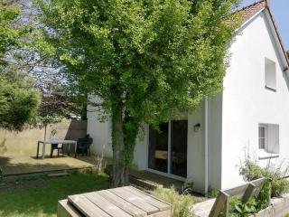 A l'ombre du ginkgo - Campagne-lès-Hesdin - 8