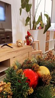 Curia Apartment - 3