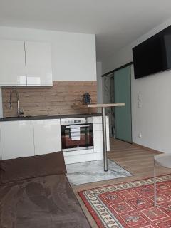 LiNZ CITY SUITE - Linz - 5