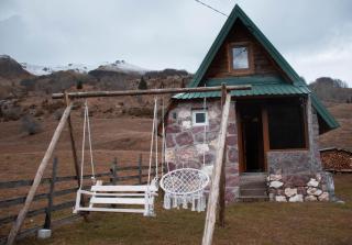 Forest fruit Jelovica - 4