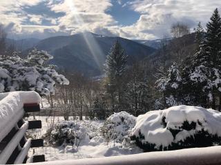 Chalet Braunkopf ALSACE - 3