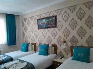 Grand Dilara Hotel - Istanbul - 3