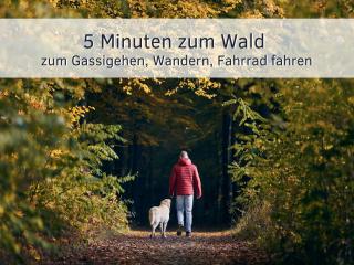 Bude im Harz - Perfekt für Zwei plus Hund, wandern ab der Haustür, ruhige Lage - Hahnenklee-Bockswiese - 7