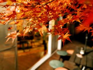 星空に包まれる 森の隠れ家　Amrita Lodge ~stay & retreat~ - 9