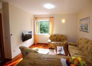 Apartments Vila Harmonia - Čilipi - 2