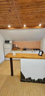 Casa Sabina - Pucioasa - 4