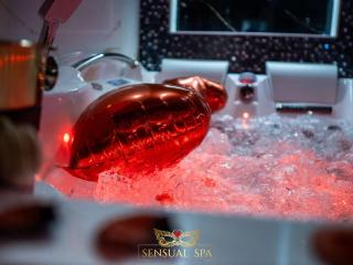 Sensual SPA- Love ROOM Jacuzzi Hammam Terrasse - Nancy - 7