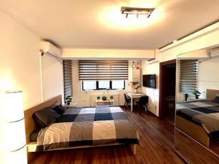 Cozy Apartment with Self Check-in near Promenada Mall and Verdi Park - Bucarest - 5