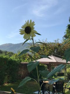 Vue du Gar - Saléchan - 7
