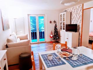 Casina Alpina sugli impianti Passo S Pellegrino - Passo San Pellegrino - 9