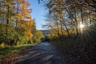 CAMPAGNE - Saulieu - 8