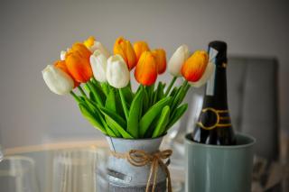 The Pavilions by Select SA - 1