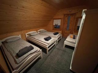 Forest Guest House - Sîntimbru-Băi - 2