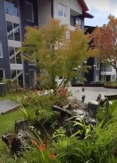 Departamento Pucon, para 5 personas - 6