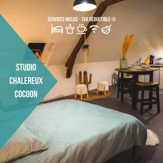 Le Nid • Cocoon • Netflix • Proche Centre-Ville - Châteauroux - 0