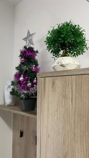 Apartman Anastasija Divcibare - 6