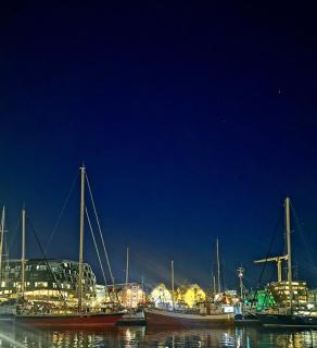 Jolly Good Times Sailing - Tromsø - 6