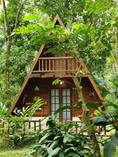Floresta Encantada - 5
