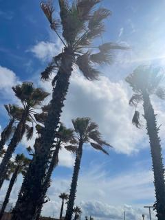 Luxury Resort - Licola - 2