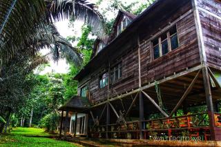 Shayari Lodge - - 0