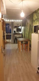 Studio Alpheratz Forest - 1 à 3 pers - WIFI, balcon, vue piste et glacier Muzelle, calme, proche commerces et pistes- TSC Super Venosc à 80m - Les Deux Alpes - 8