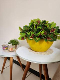 Aconchegante ap no Park Sul próximo ao aeroporto - 3