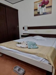 Hotel Rapsodia City Center - Botoşani - 2