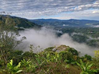 Cabaña Niraj - Cartago - 1