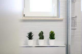 Apartment Romarin - 4