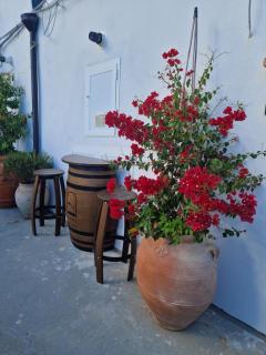 Mary wine house - Pisticci - 2