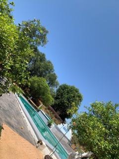 Casa los Laureles - Pilas - 6