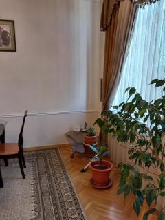 Neftiannikov Avenue Apartment - Baku - 3