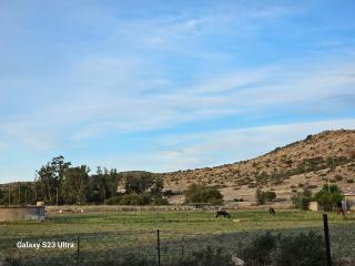 The Witch's Inn - Philippolis - 4