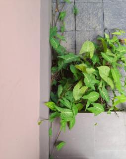 Seashore Residency - Ernakulam - 4