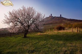 Penzion pod Hazmburkem - 9