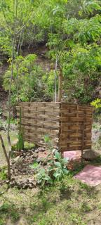 Jungle Glamping Tent Two - Maluk - 7