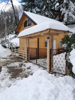 Rudnička čarolija - Rudnik - 7