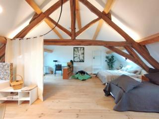FORET - Saulieu - 3
