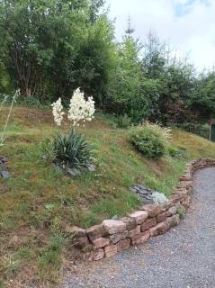 Chaleureux gîte des brocards aux pieds des sapins 3 étoiles - Allarmont - 3