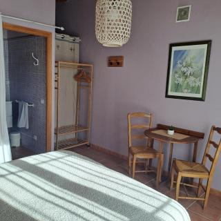 la chambre de l'auxineill - 2