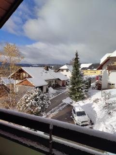 Feldbergsicht - Lenzkirch - 5