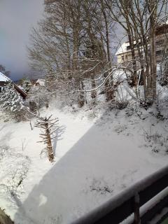 Feldbergsicht - Lenzkirch - 6