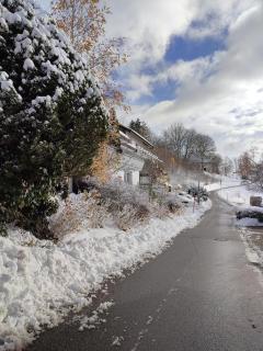 Feldbergsicht - Lenzkirch - 7