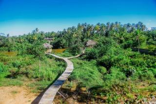 The Glade - Weligama - 5