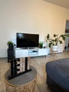 Living Lu - cosy Apartment two - Netflix - Mannheim - BASF - Ludwigshafen am Rhein - 8