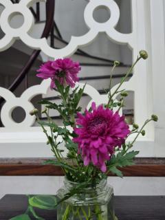 May's Cottage - 1